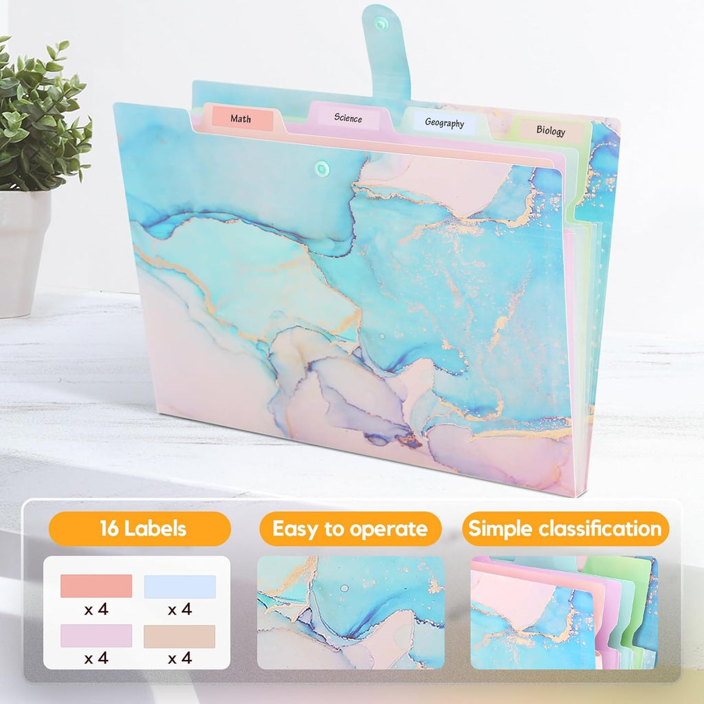 Expanding File Organizers for Office Documents, Study Notes - Cyan Gold