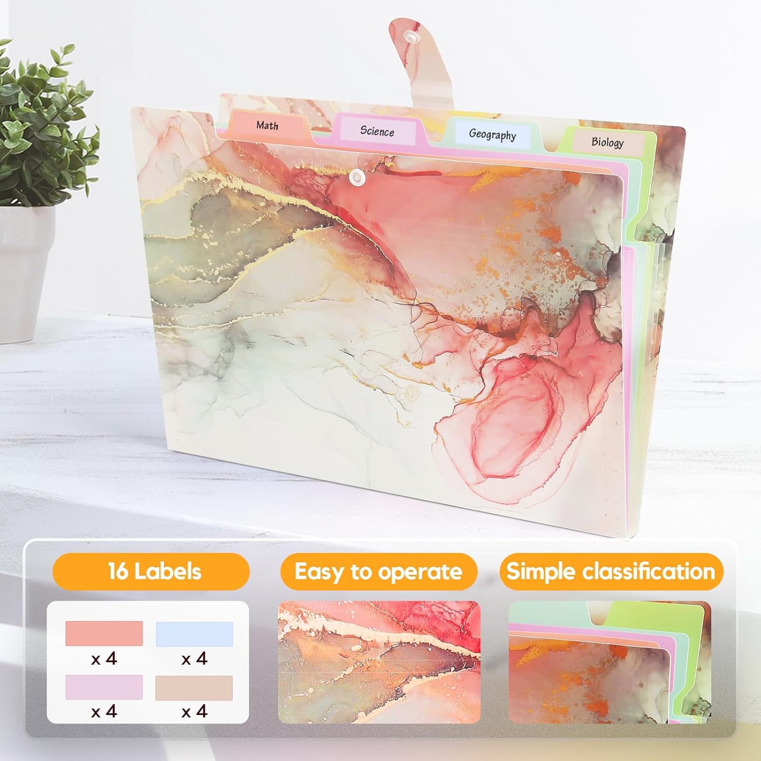 Expanding File Organizers for Office Documents, Study Notes - Grey Gold