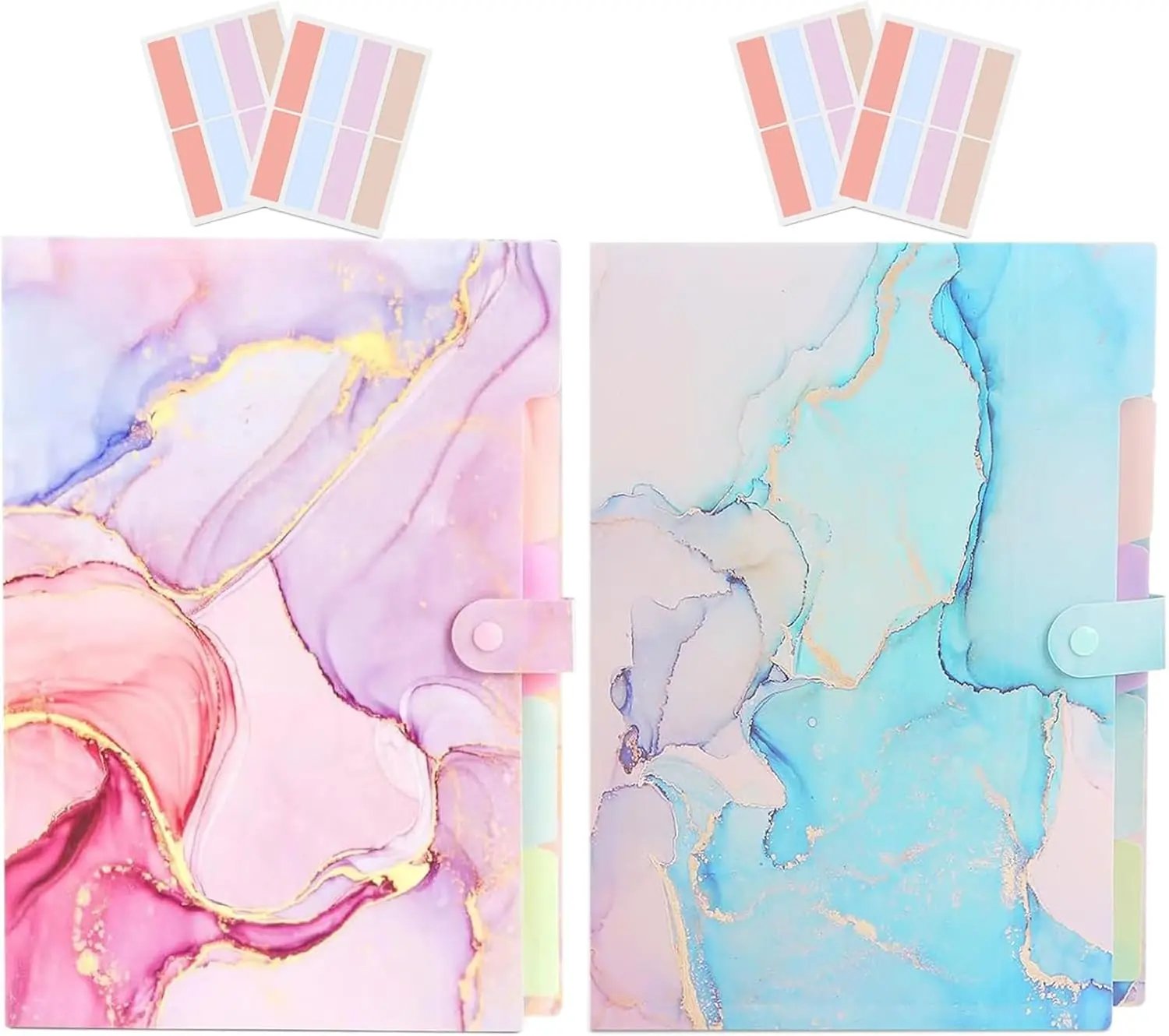 Expanding File Folder,Folders for Important Documents Organizer Pack of 2(Pink+Cyan)