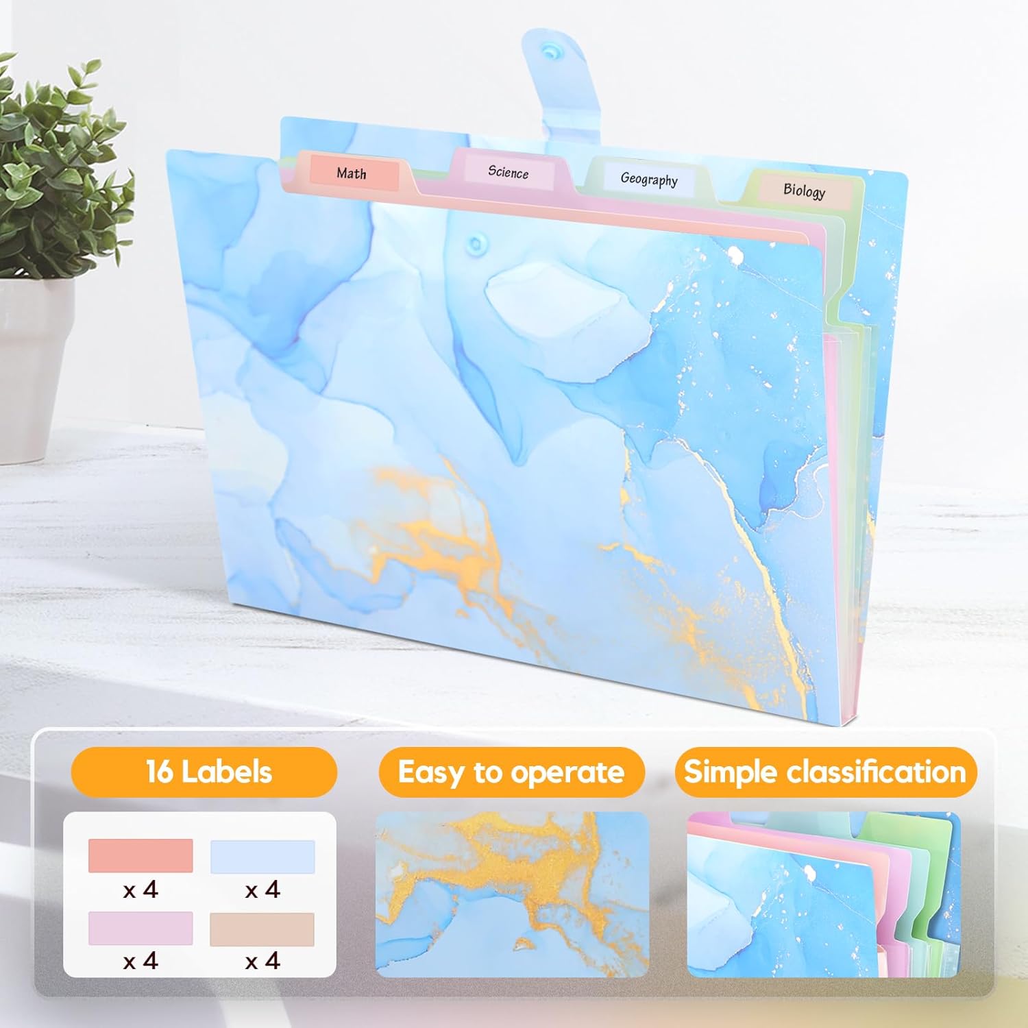 Expanding File Organizers for Office Documents, Study Notes - Blue Gold