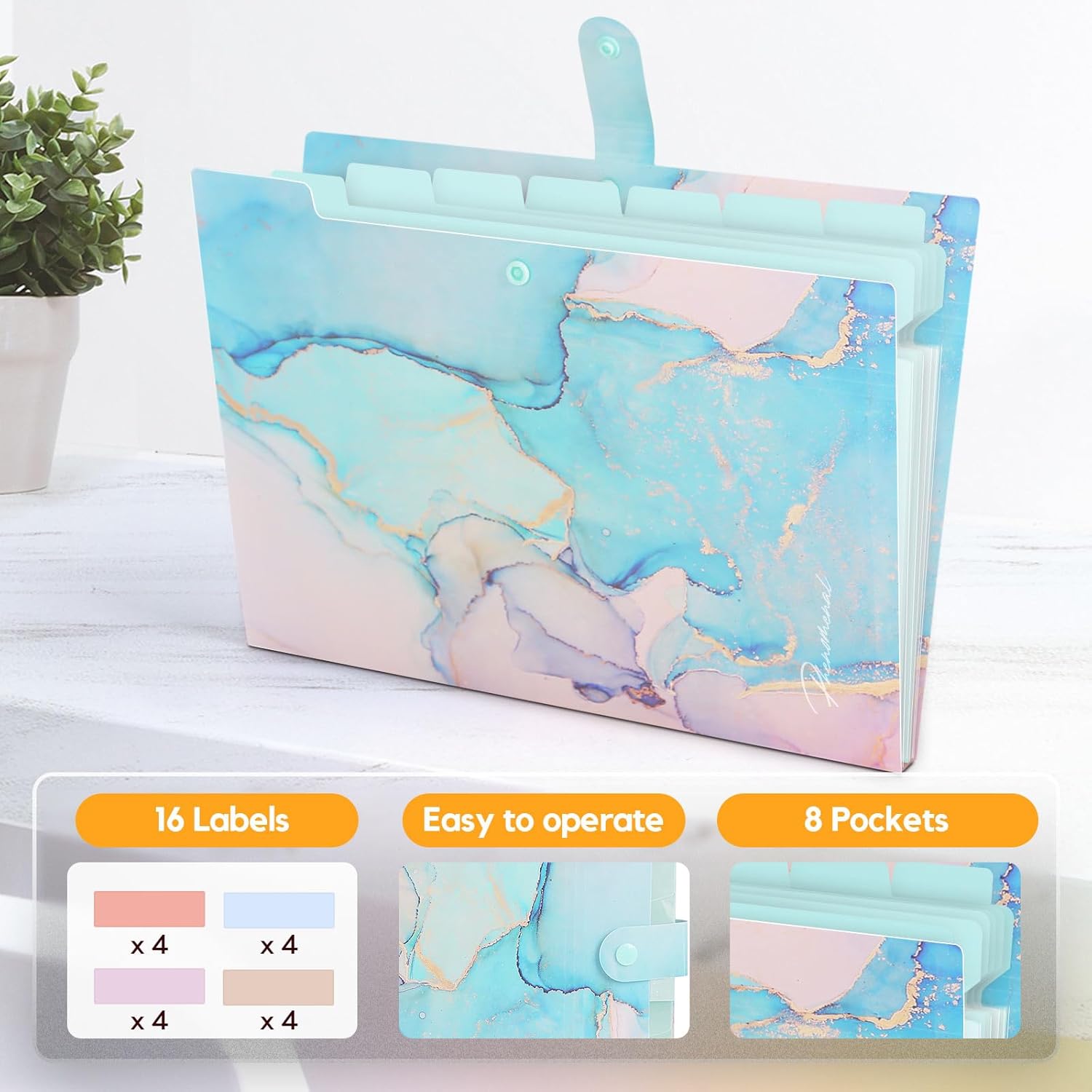 Expanding File Organizer for Important Documents, Office - Cyan Gold