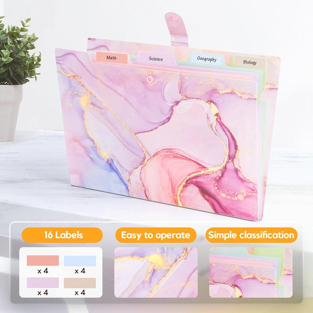 Expanding File Organizers for Office Documents, Study Notes - Pink Gold