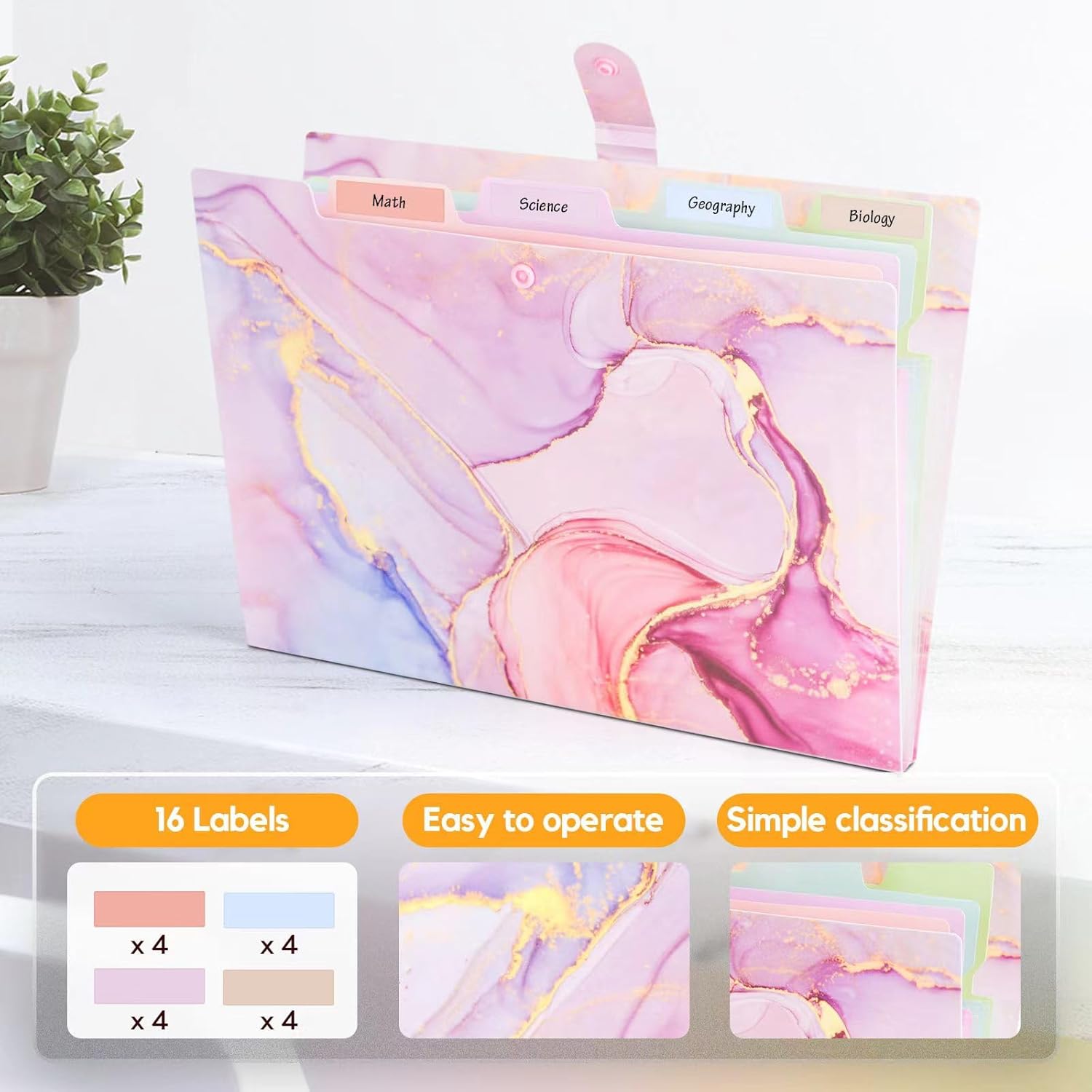 Expanding File Organizers for Office Documents, Study Notes - Pink Gold