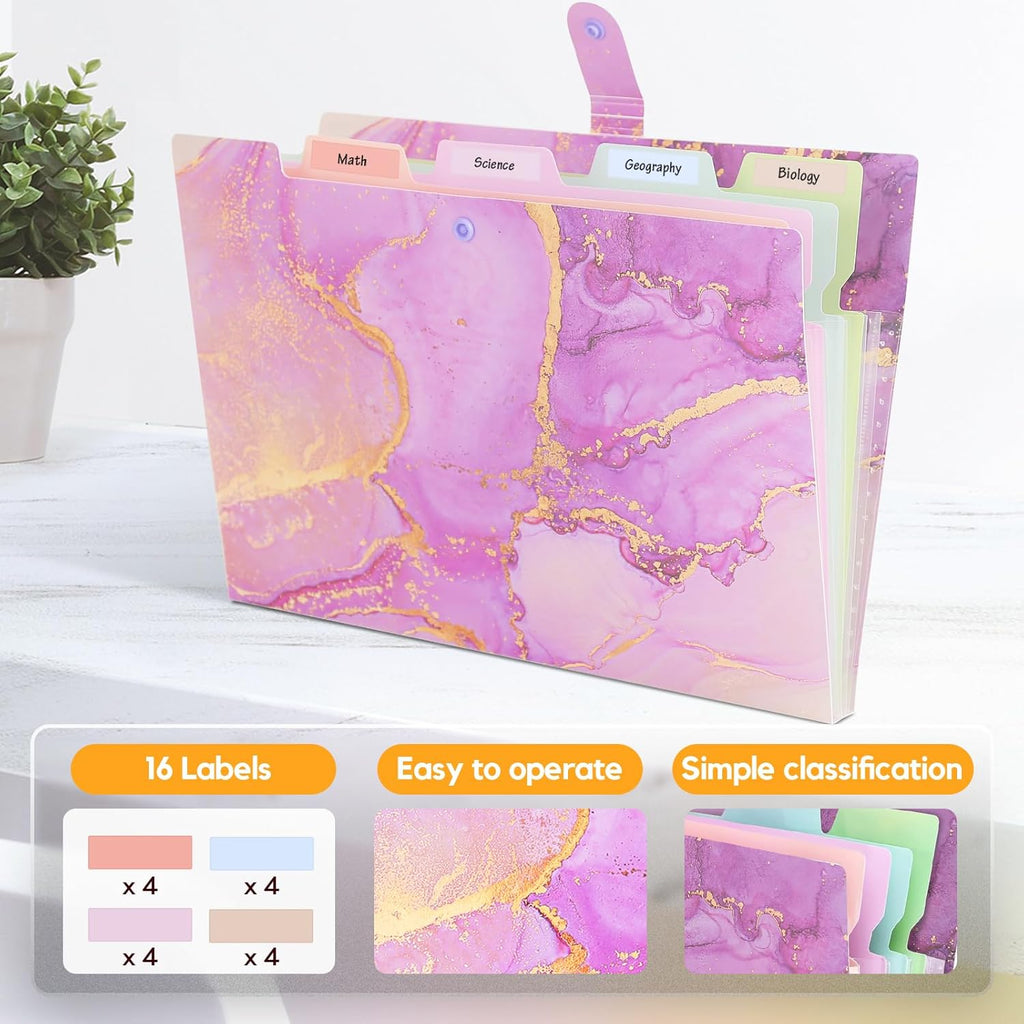 Expanding File Organizers for Office Documents, Study Notes - Purple Gold