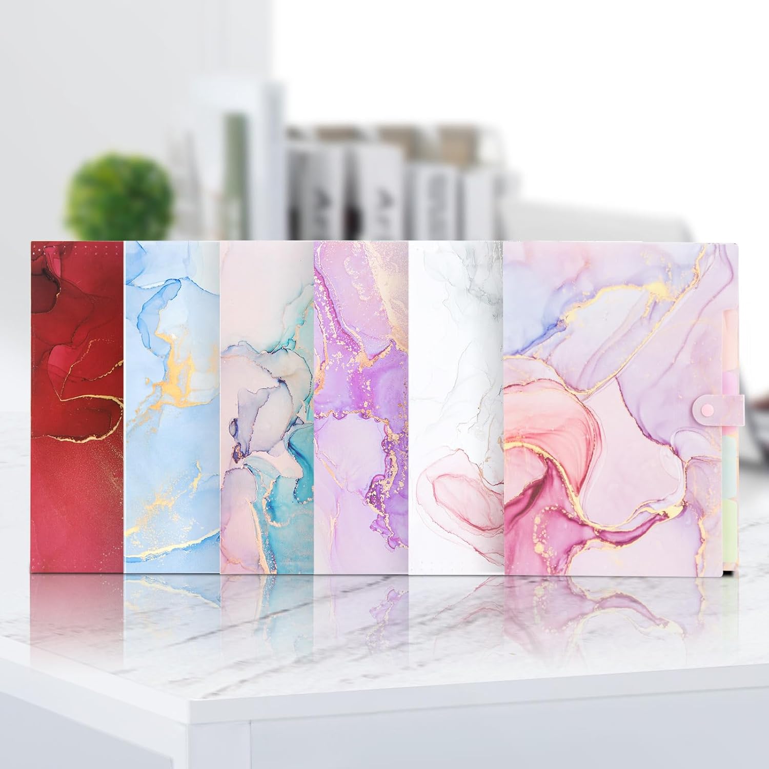 Expanding File Organizers for Office Documents, Study Notes - Cyan Gold